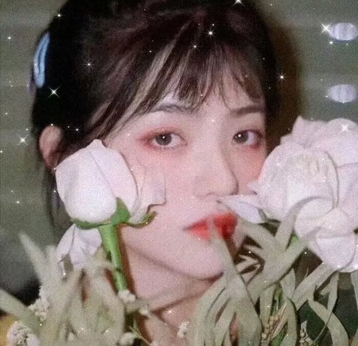矮精灵历险记