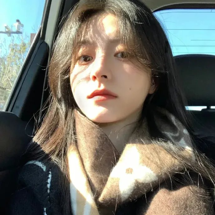 托托的色彩美学观